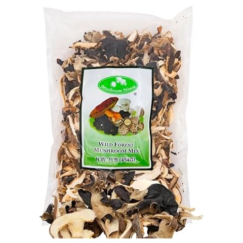 Mushroom House thumbnail