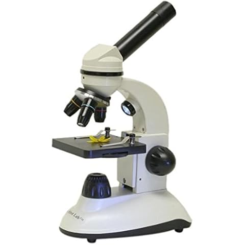 My First Lab thumbnail