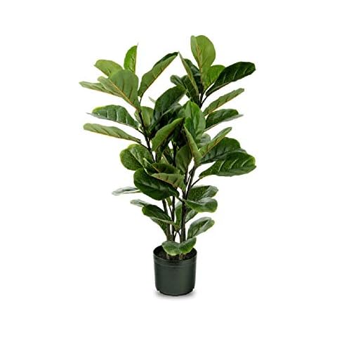 NATURAE DÉCOR thumbnail