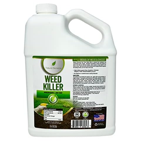 Natural Elements feature image