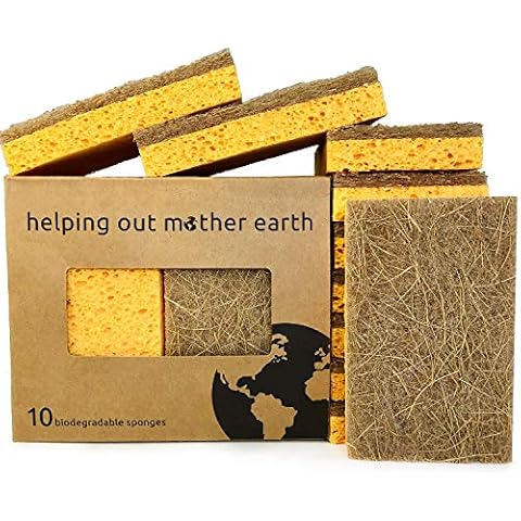 Foamstar Natural Sponges-10 Pack, Eco Friendly Non-Scratch Scrub Sponge for  Kitchen, Biodegradable Plant Based Scrubber Sponges for Cleaning Dishes