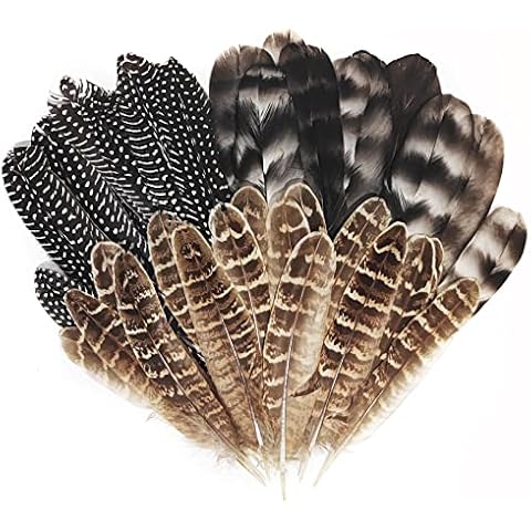 Coceca 300pcs 3-5 Inches Colorful Feathers for DIY Craft Wedding Home Party  Decorations