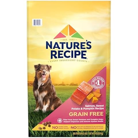 Nature's Recipe feature image