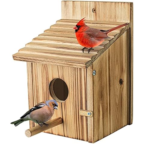 NATUREYLWL thumbnail