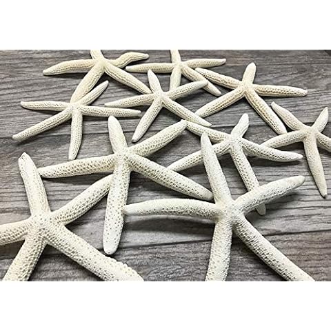 Nautical Crush Trading thumbnail