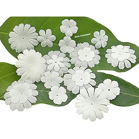 NAVA CHIANGMAI FLOWERS thumbnail