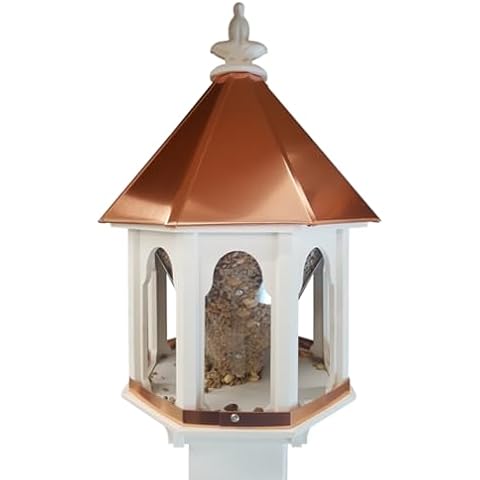 NC Birdguy feature image