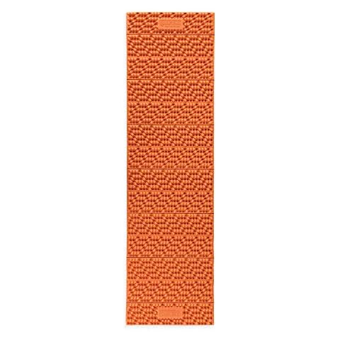 NEMO feature image