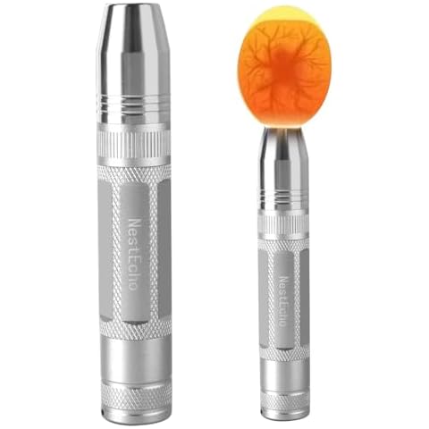 NestEcho feature image