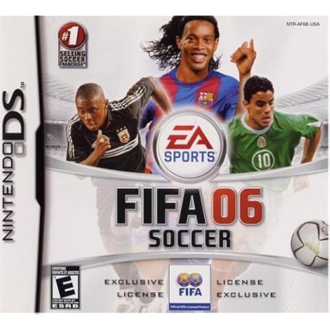 Nintendo DS Soccer Games