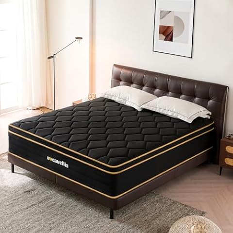 Nocavellis thumbnail