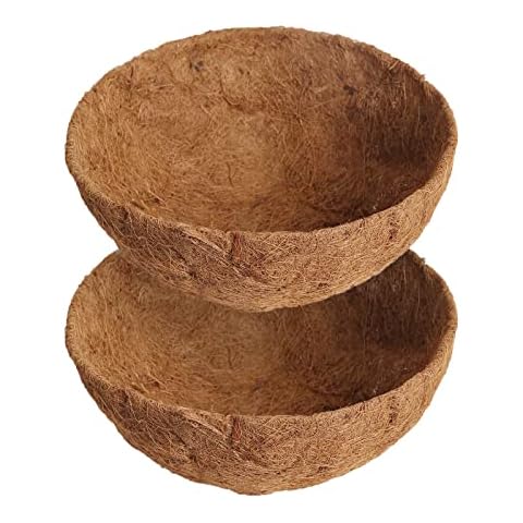 Nongcunren feature image