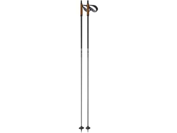 Nordic Ski Poles Thumbnail