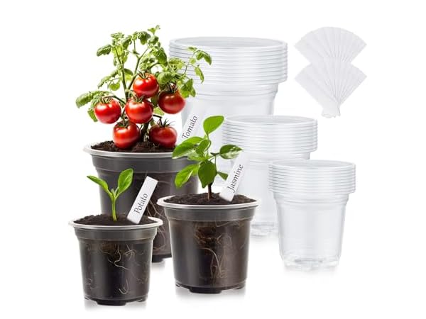 Nursery Pots Thumbnail