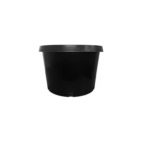 Nursery Supplies thumbnail