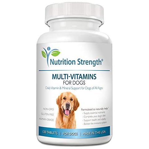 Nutrition Strength thumbnail