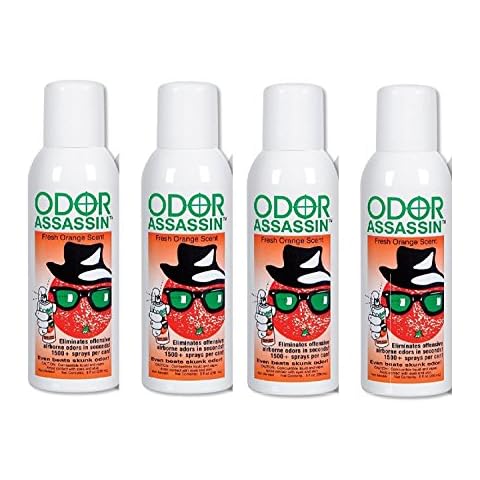 ODOR ASSASSIN thumbnail