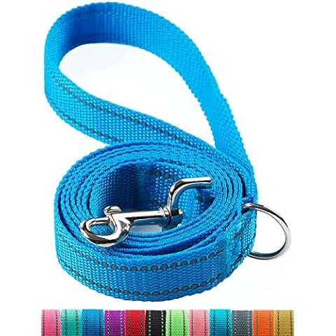 azuza Dog Collar and Leash Set, Lemon Patterns on Blue Nylon Collar and Matching Leash, Great Option for Small Dogs