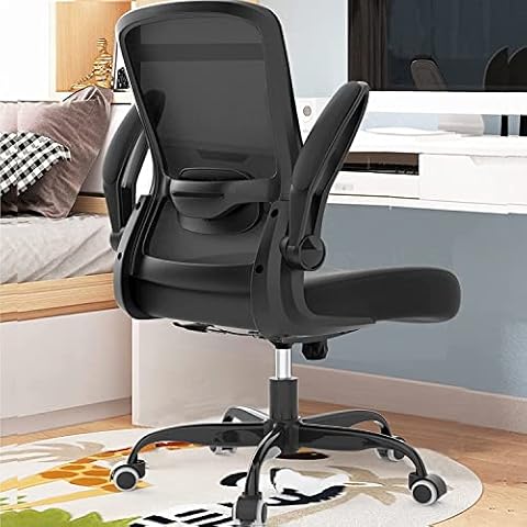 Adjustable Lumbar Support – Office Chair @ Work