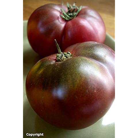 Ohio Heirloom Seeds thumbnail