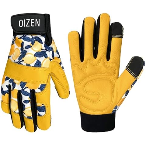 OIZEN thumbnail