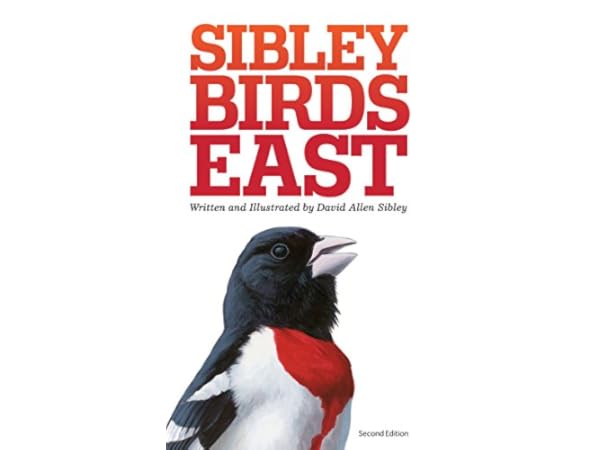 Ornithology Books Thumbnail