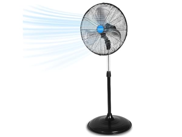 The 10 Best Oscillating Floor Fans of 2024 (Reviews) - FindThisBest