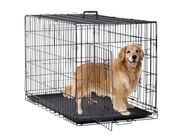 The 10 Best Outdoor Dog Crates of 2026 (Reviews) - FindThisBest