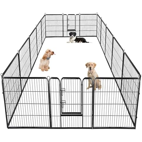 Outdoor Dog Pens