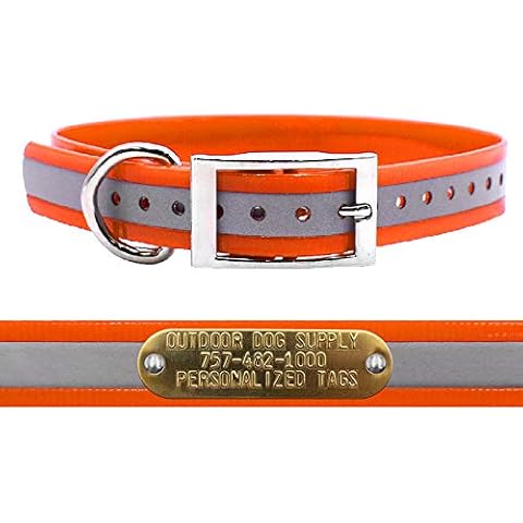 Outdoor Dog Supply thumbnail