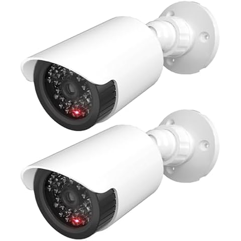 Outdoor Dummy Cameras