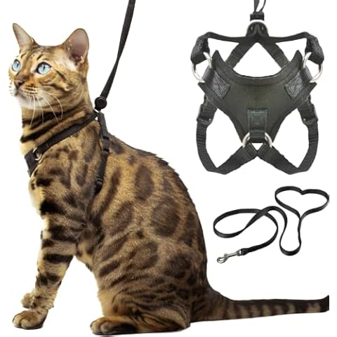OutdoorBengal thumbnail