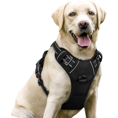 Padded Dog Vest Harnesses