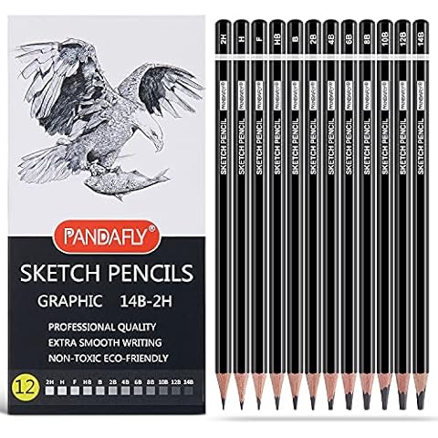 https://us.ftbpic.com/product-amz/pandafly-professional-drawing-sketching-pencil-set-12-pieces-graphite-pencils14b/51mJIsLJA-S._AC_SR480,480_.jpg