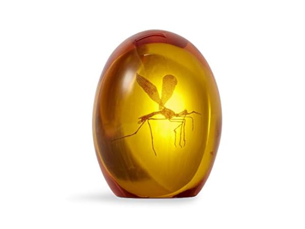 Paperweights Thumbnail