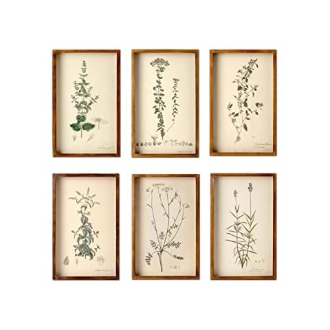 Park Hill Collection thumbnail