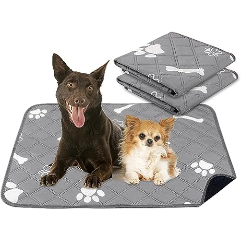 EveryYay Happy Place Blue Orthopedic Dog Mat, 16 L X 9 W X 2 H