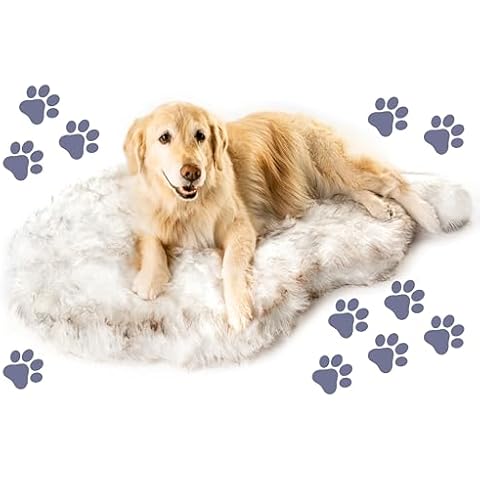 PAW BRANDS thumbnail
