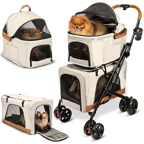 PAWLALA thumbnail