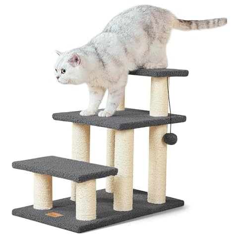 Pawque thumbnail