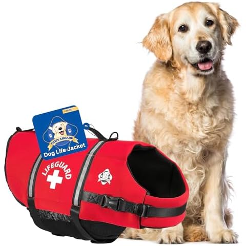 Paws Aboard thumbnail