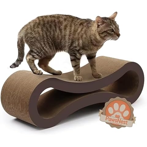 PawsNest thumbnail
