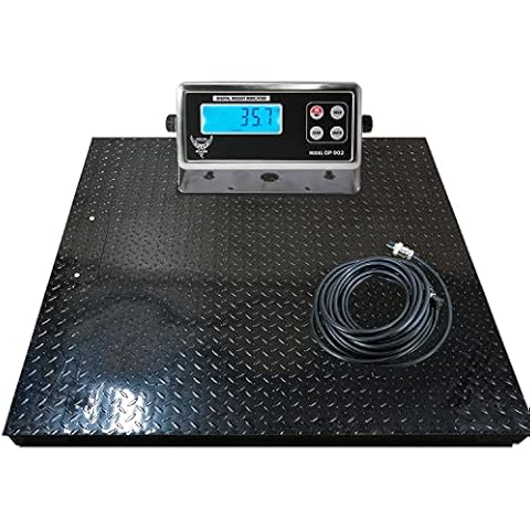 PINNACLE, 5,000 lb Wt Capacity, 60 in Weighing Surface Dp, Platform Floor  Scale - 19ND58