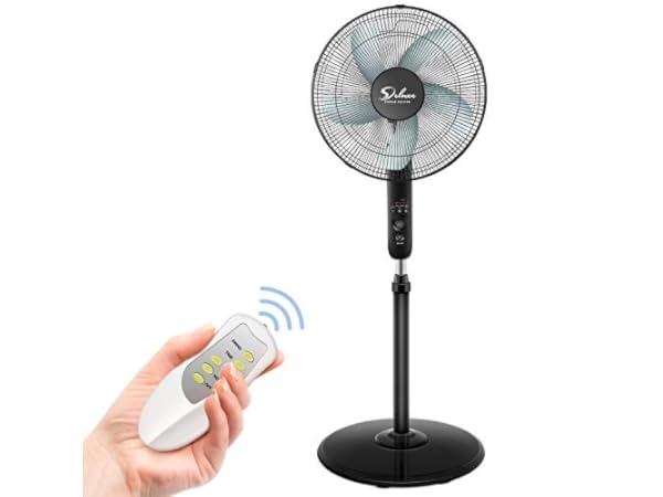 The 10 Best Pedestal Fans Of 2024 Reviews FindThisBest   4101bl YdDL.  CR0,0,600,450 