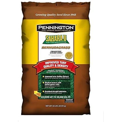 The 7 Best Bermuda Grass Seed of 2023 (Reviews) - FindThisBest