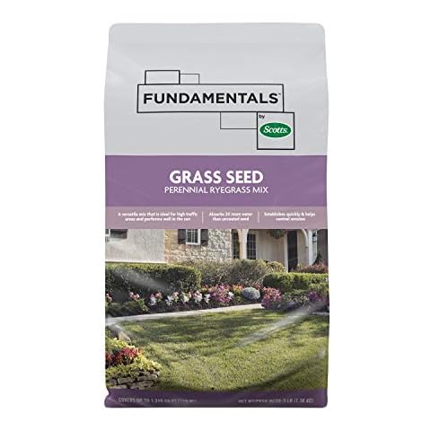 Perennial Grass Seed