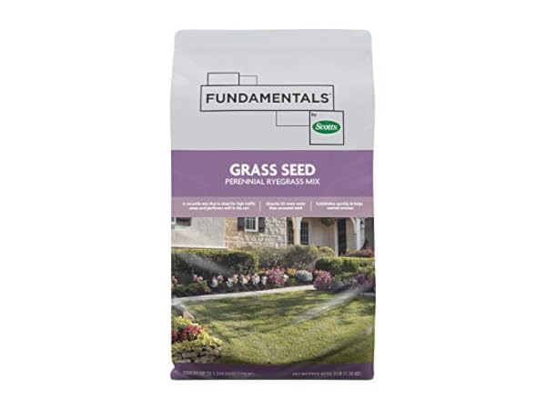 Perennial Grass Seed thumbnail