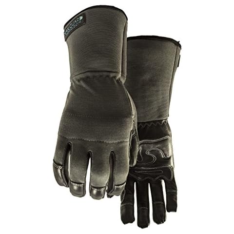 Perfect 10 feature image