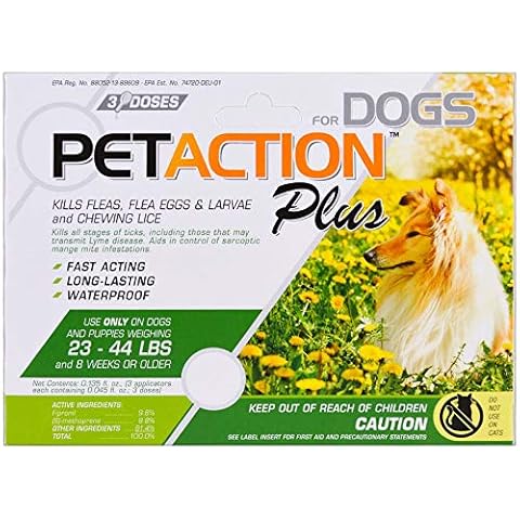 Pet Action thumbnail