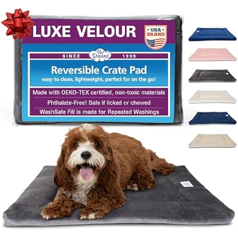 Pet Dreams thumbnail